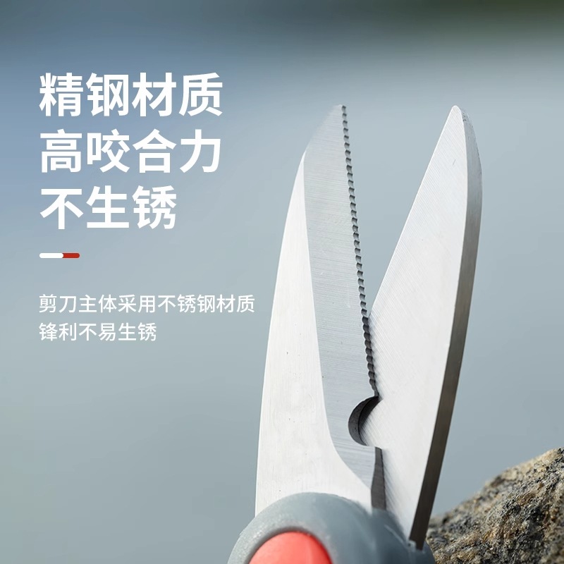 Ciseaux de pêche Fanceey - pou - Fluorocarbon Line avis et prix
